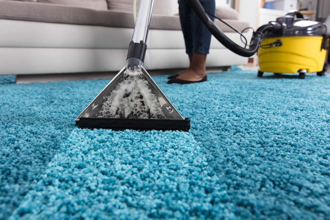 How Long Does It Take Carpet to Dry After Cleaning? Blog Fosters